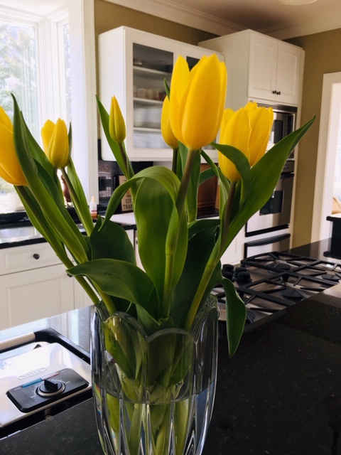 tulipsyel